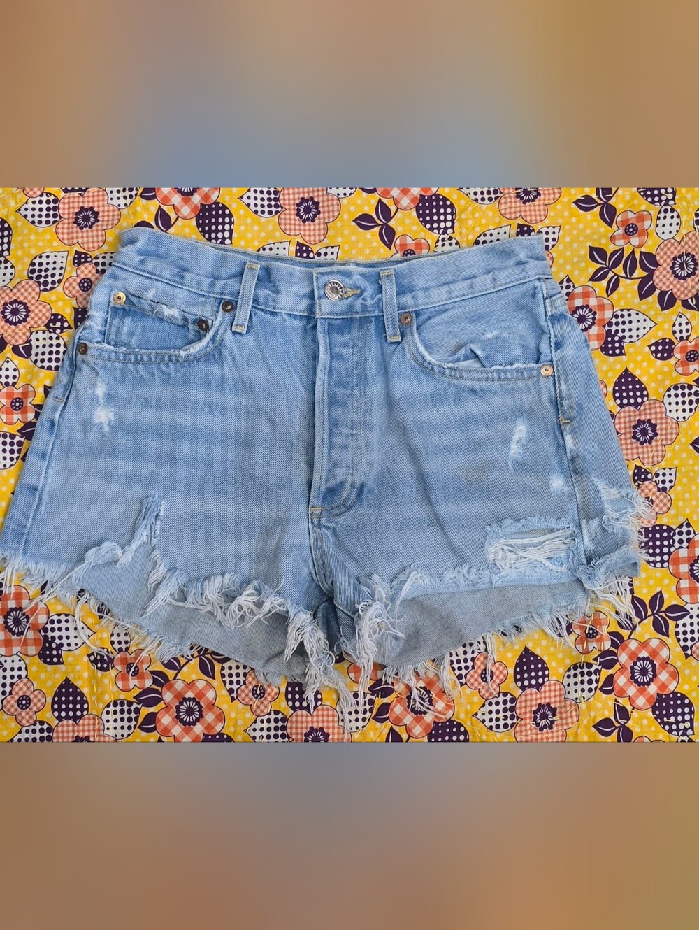Agolde Light Blue Distressed Denim Cutoff Shorts Sz 25